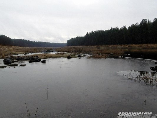 Изображение 1 : Река Молога, то ли теплый, то ли холодный ноябрь 3